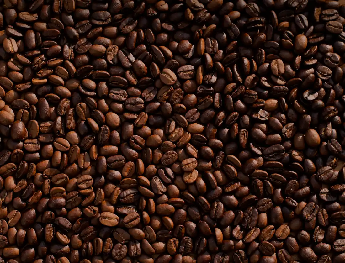 Freshly roasted single-origin coffee beans