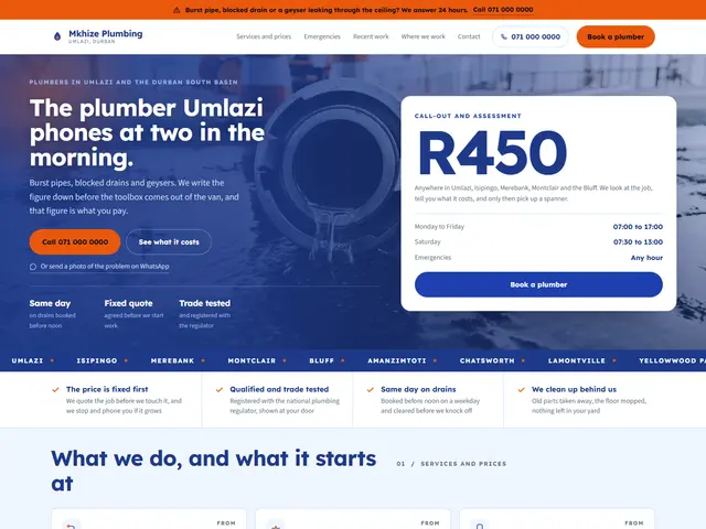 Mkhize Plumbing, Plumbers · Umlazi: homepage we built